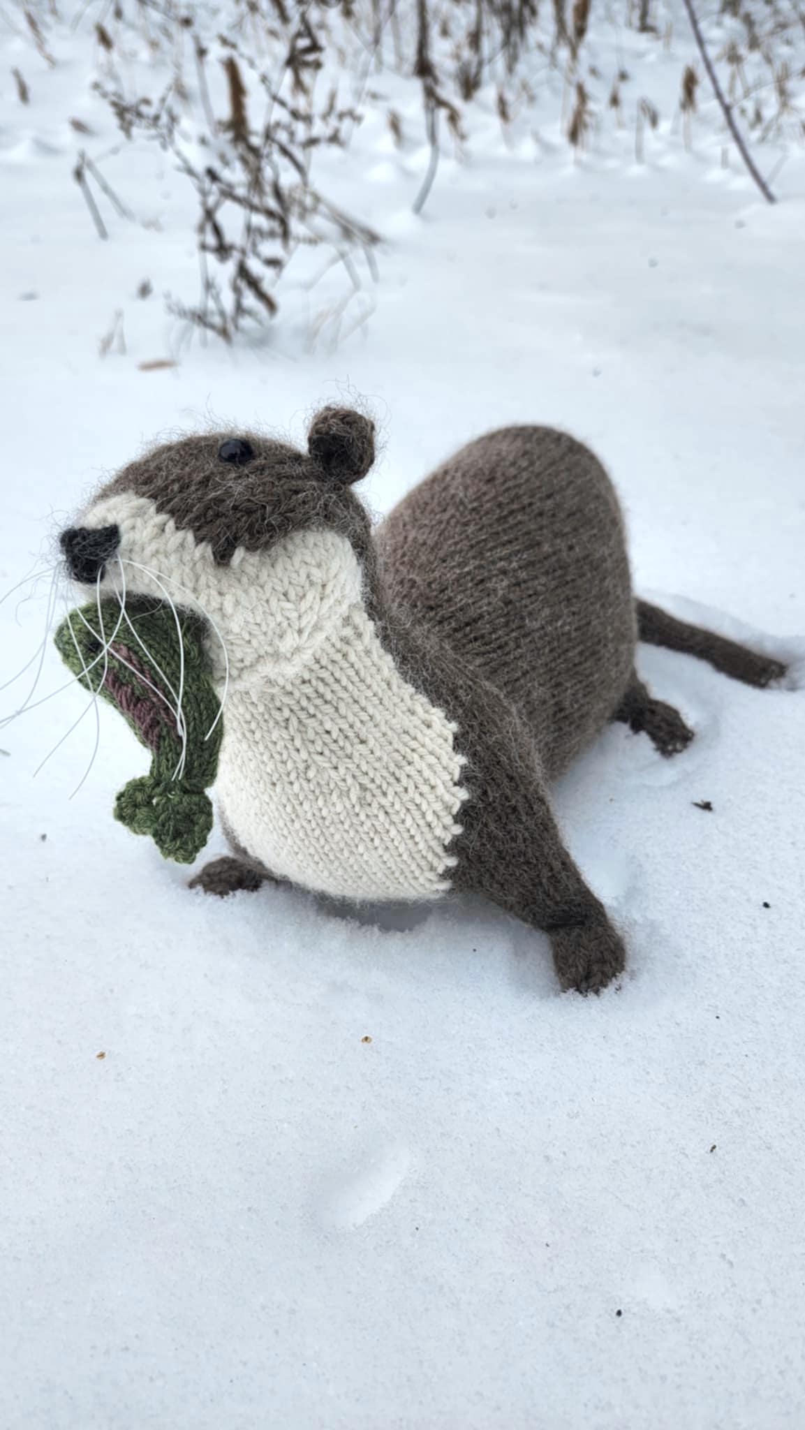You Otter Believe It's the Holidays Soon!