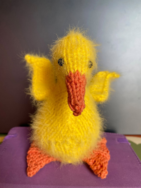 Lucky Duckling